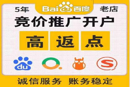 百度竞价广告投放策略：案例分析及效果评估